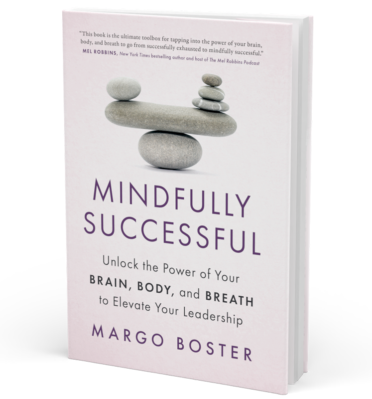 Mindfully Successful book