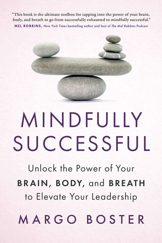 Mindfully Successful book cover