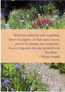 Inspirational quote about growth and freedom in a garden setting.